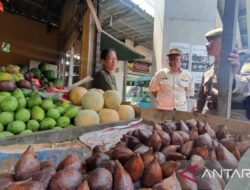 PKL Diberhentikan untuk Mencapai Keberhasilan Pembangunan Jembatan Layang Bojonggede