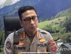 Anggota Satpol PP Denpasar Mengalami Serangan dari OTK Setelah Menangkap 33 PSK