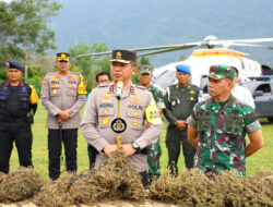 Irjen Agung dan Mayjen Mochammad Hasan Mengungkap Ladang Ganja Terbesar di Sumut, Dengan Luas yang Mencengangkan!