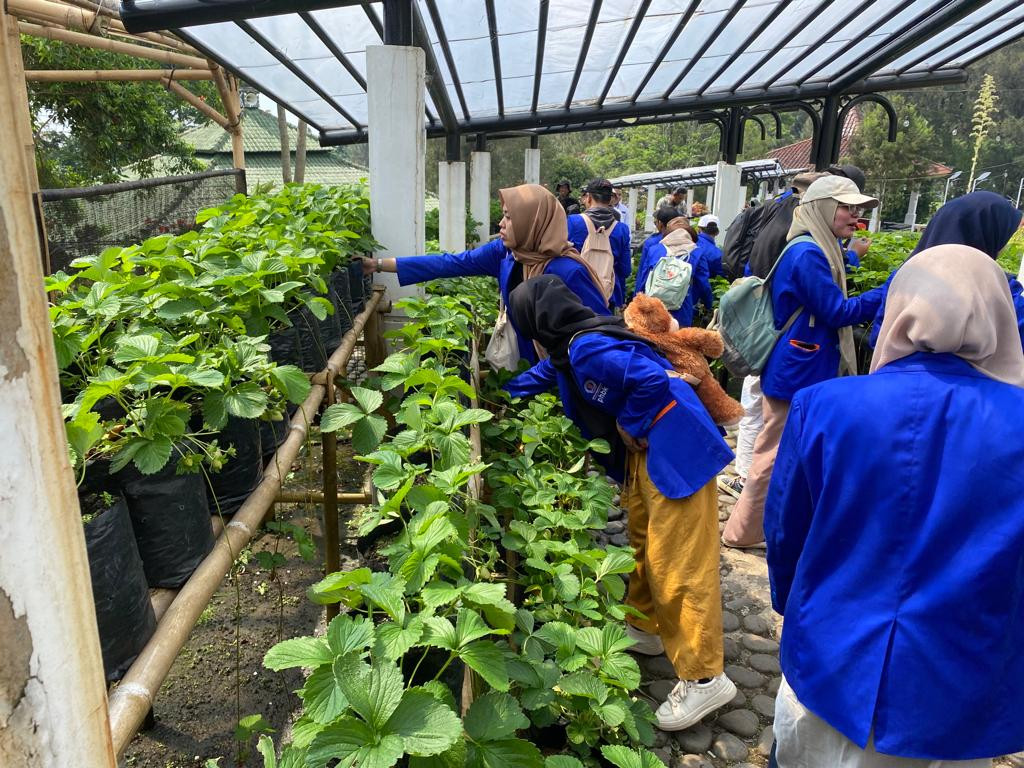 Edukasi Kebun Raya Cibodas: Cara Menanam Biji dan Sayuran ala Petani di Kelas Belajar