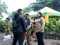 Genetik Mangga di Indonesia Menarik Perhatian Dirjen Buflo Hortikultura