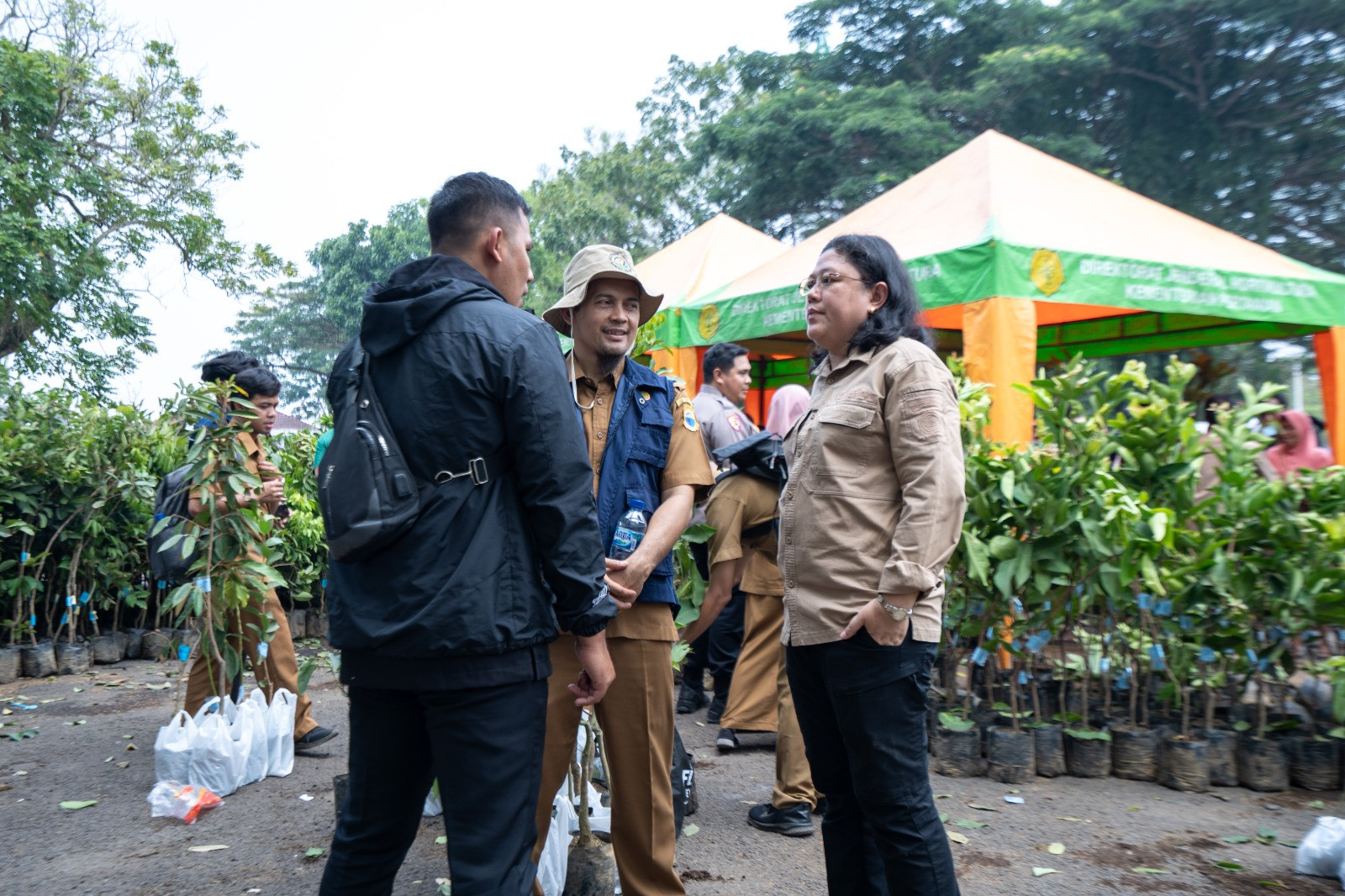 Genetik Mangga di Indonesia Menarik Perhatian Dirjen Buflo Hortikultura