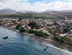 Telapak Ungkap Temuan Dampak Sosial Lingkungan di Pulau Obi