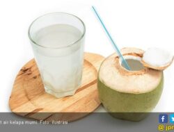 Empat Manfaat Minum Air Kelapa Secara Rutin Untuk Menurunkan Berat Badan