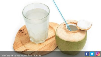 Empat Manfaat Minum Air Kelapa Secara Rutin Untuk Menurunkan Berat Badan