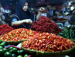 Harga Cabai Merah Keriting Masih Tinggi di Pasar Tradisional, Namun…