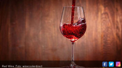 5 Fakta Berbahaya Tentang Minum Wine yang Dapat Mempengaruhi Kesehatan Tubuh Anda