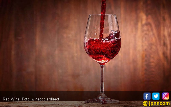 5 Fakta Berbahaya Tentang Minum Wine yang Dapat Mempengaruhi Kesehatan Tubuh Anda