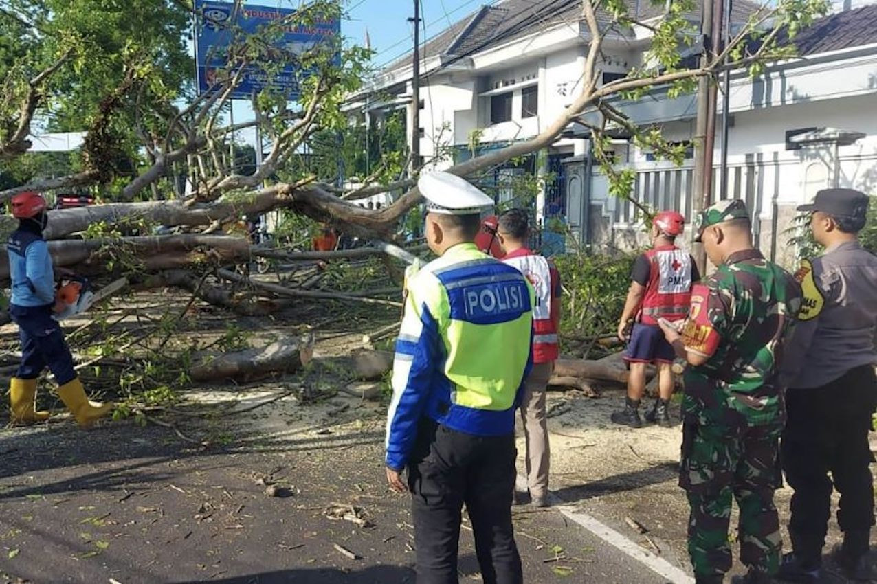 Dua Pengendara Motor Tewas Setelah Pohon Tumbang di Malang