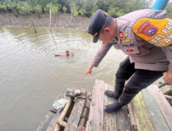 Polisi Sedang Menyelidiki Penemuan Potongan Payudara Manusia yang Diduga Sebagai Limbah Rumah Sakit