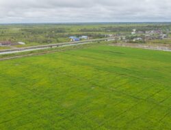 Mensyaratkan Jubir Anies Sebut Food Estate sebagai Program Pro-Korporasi yang Salah Kaprah