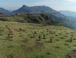 Revitalisasi Taman Binaan Tamalate oleh Cabang Makassar Surveyor Indonesia