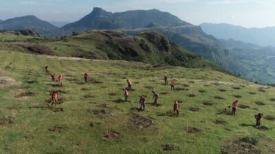 Revitalisasi Taman Binaan Tamalate oleh Cabang Makassar Surveyor Indonesia