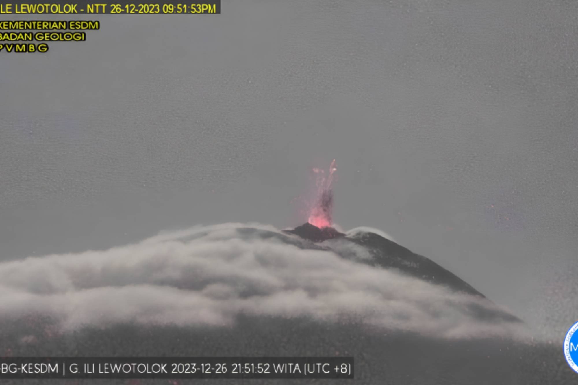 41 Gempa Letusan Guncang Gunung Ili Lewotolok dalam Erupsi