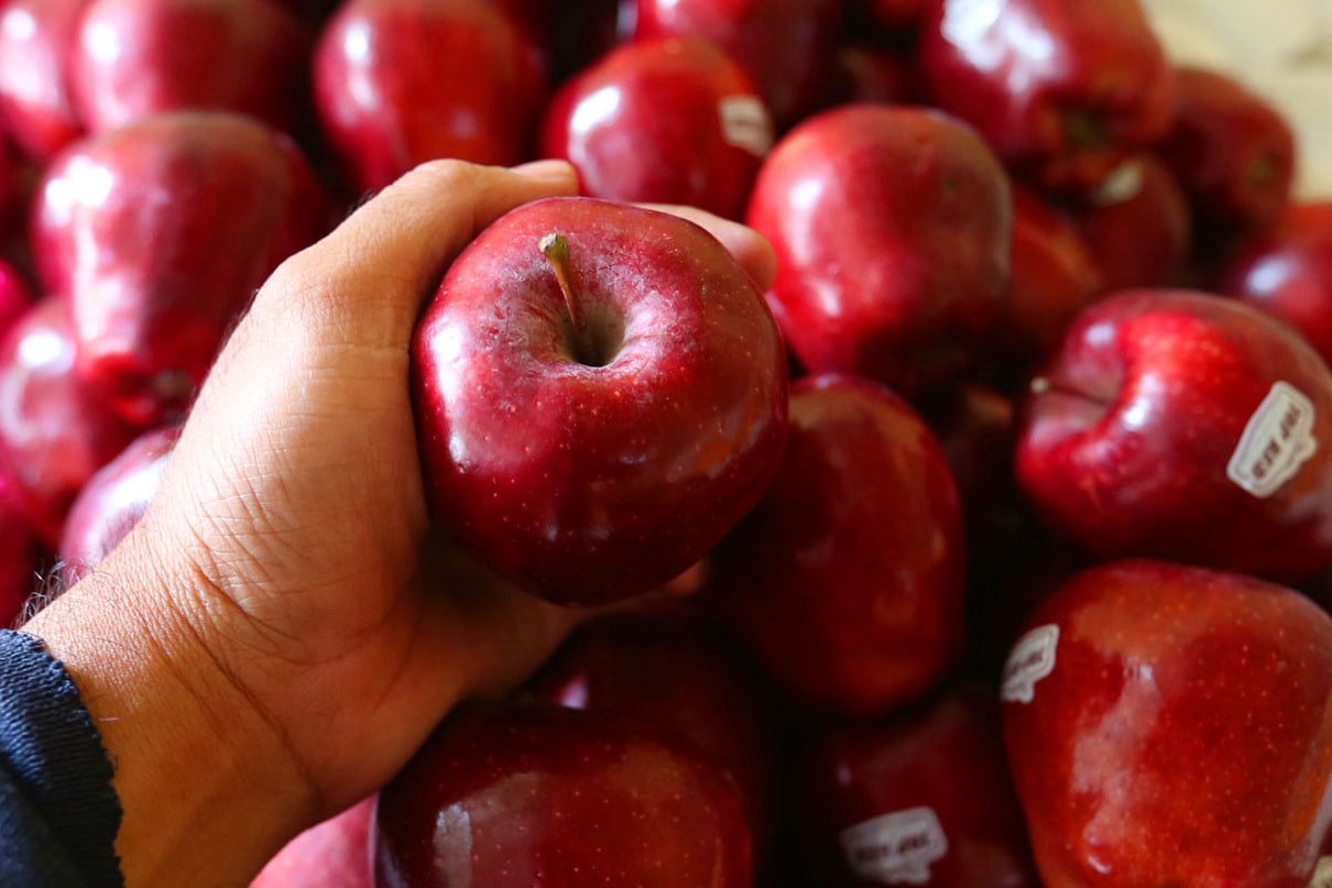 10 Makanan Ini Akan Membantu Anda Menurunkan Berat Badan dengan Mudah