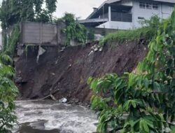 Hujan Lebat Menyebabkan Pohon Tumbang Merusak Beberapa Bangunan di Malang