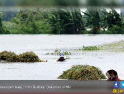 Petani Karawang Bisa Mengklaim Asuransi Untuk Areal Sawah Terendam Banjir, Kabar Baik!