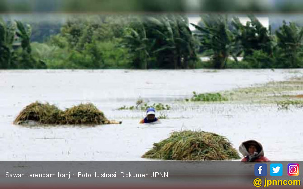 Petani Karawang Bisa Mengklaim Asuransi Untuk Areal Sawah Terendam Banjir, Kabar Baik!