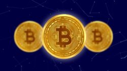 CEO Indodax: Manfaatkan Kenaikan Harga Bitcoin Dengan Teknik DCA