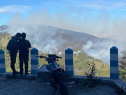 BPBD Jatim mencatat lahan yang terbakar di Savana Widodaren Bromo sebesar 8 hektar.