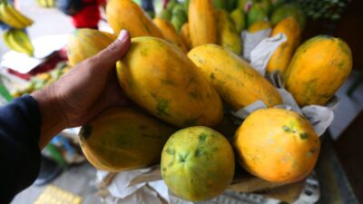 Manfaat Makan Pepaya Harian untuk Mencegah Serangan Penyakit Berbagai Jenis