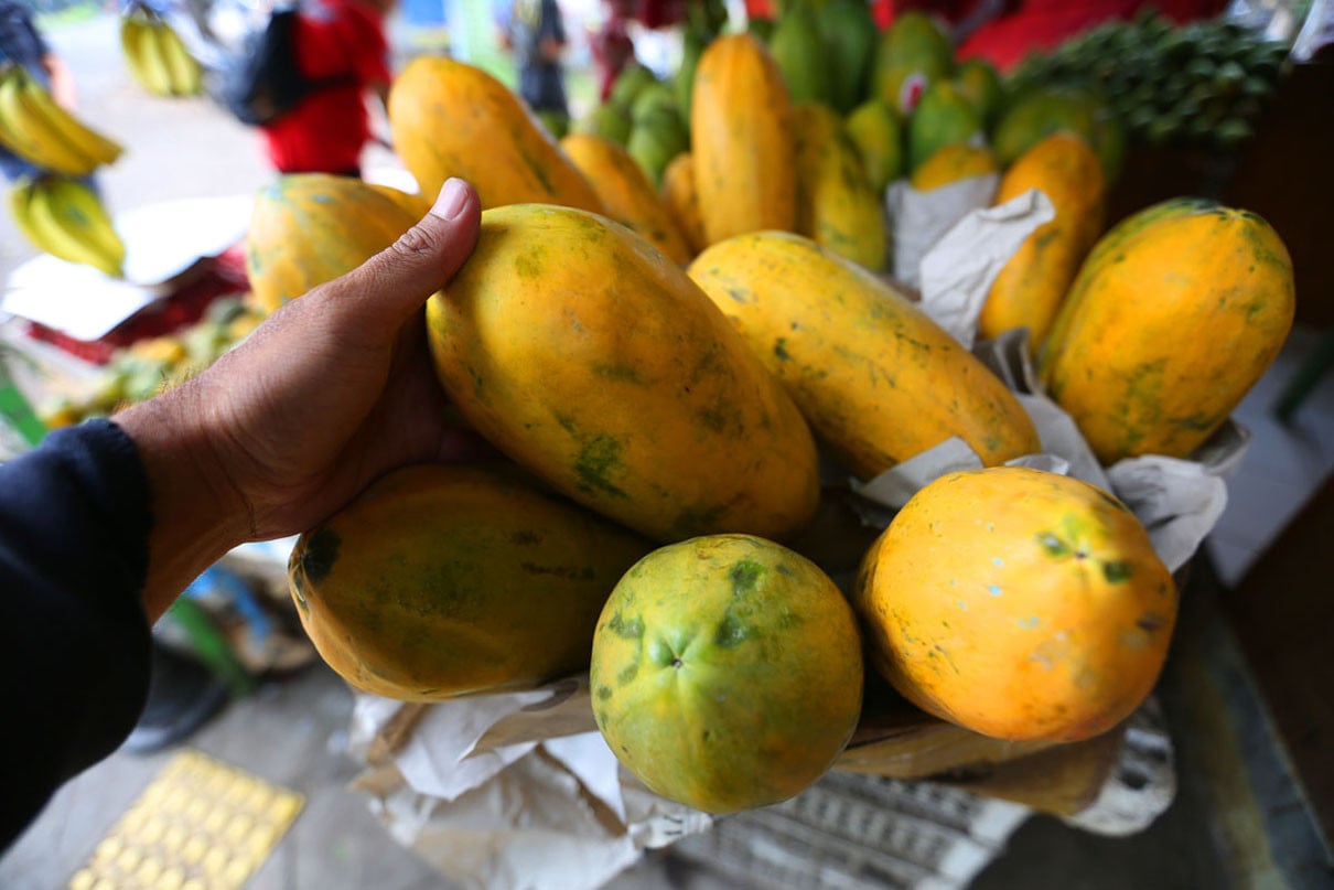 Manfaat Makan Pepaya Harian untuk Mencegah Serangan Penyakit Berbagai Jenis