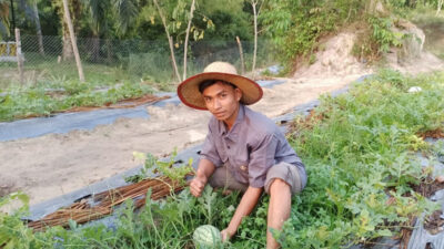 Pemuda di Rohil Mengembangkan Pertanian Lahan Tanpa Bakar sebagai Upaya Adaptasi Perubahan Iklim