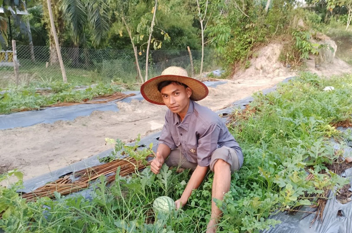 Pemuda di Rohil Mengembangkan Pertanian Lahan Tanpa Bakar sebagai Upaya Adaptasi Perubahan Iklim