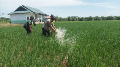 Pompanisasi Program PAT di Riau Bantu Kementan Penuhi Kebutuhan Air