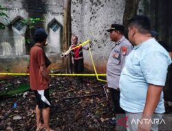 Penemuan Polisi di Kebun Kosong Bekasi: Benda Mirip Granat