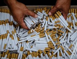 Cara Lawan Peredaran Rokok Ilegal: Lindungi Petani
