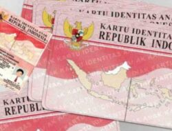 Pentingnya KTP Pink: Fungsi dan Proses Registrasi